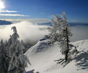 пазл Снежные горы в Пояна Брашов, Румыния